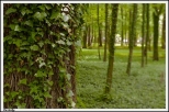 Owiska - klasycystyczny paac rodziny von Treskow _ przypaacowy park krajobrazowy