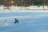 Wokół jeziora Mogileńskiego. Zimowy wędkarz