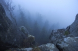 Bardzo mglisty i mokry poranek na Szczelicu