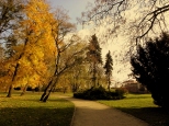 jesiennie w zamojskim parku