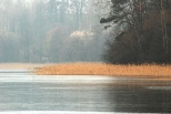 Wschodni brzeg jeziora Wysokie Brodno