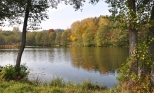 Jezioro Kluczysko w Suwalskim Parku Krajobrazowym