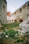 Zamek w Janowcu