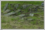 Dobra - pozostao po cmentarzu ydowskim