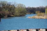 Chorula - rzeka Odra