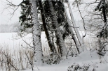 Zim na Suwalszczynie- w Wigierskim Parku Narodowym