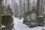 Cmentarz żydowski na Okopowej w zimowej szacie