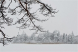 Zima na Suwalszczynie_2015