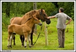 Zarzecze - jedni kochaj konie, inni wol traktory ...