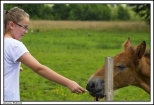 Zarzecze - jedni kochają konie, inni wolą traktory ...