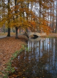 Jesienny park obok zamku w Żywcu