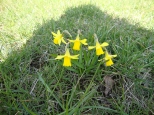 Umiech wiosny..w Parku Sensorycznym w Rydutowach