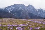 aktualna wiosna pod Tatrami :