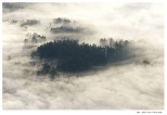 poranne mgły w dolinie Sanu