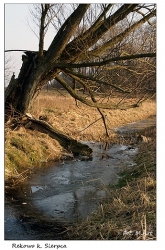 Rekowo - zaniedbany kanał melioracyjny