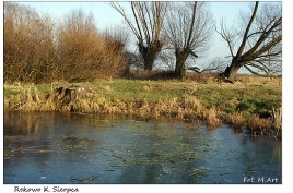 Rekowo - malowniczy zakątek wśród bezkresu pól