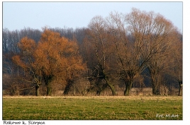 Rekowo - mazowieckie pejzarze