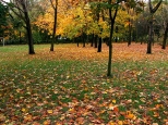 Park Hallera jesienią. Dąbrowa Górnicza