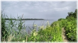 Mikoszewo- na prawym brzegu przekopu Wisły