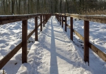 Park leny przy warszawskim Zaciszu w zimie