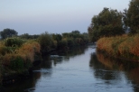 Rzeka Wieprz