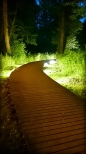 W parku w Wejherowie nocą