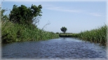 Spływ kajakowy Piaśnicą