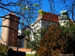 Baszta Senatorska na zamku na Wawelu i ponownie kwitnce kasztany
