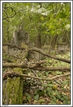 Strzyew - opuszczony i zrujnowany cmentarz ewangelicki
