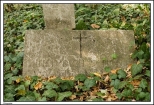 Strzyew - opuszczony i zrujnowany cmentarz ewangelicki