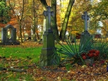na starym cmentarzu