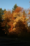 barwy  jesieni