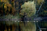 jezioro Śtrąpie koło Barlinka