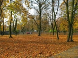Niby park