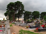 Fragment koneckiego cmentarza