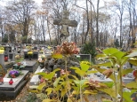 Cmentarz Rakowicki