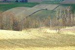 Podole - opatowskie pola