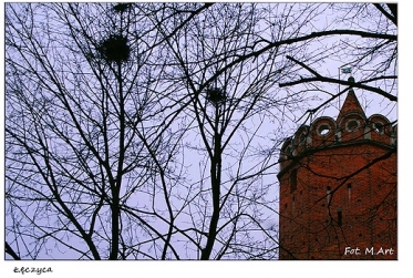 Wieża zamku w Łęczycy
