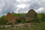 Krasiejw - Dimetrodon