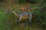 Krasiejw - Plateozaur