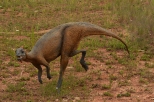 Krasiejw - Dryozaur