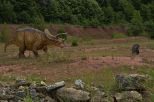 Krasiejw - Triceratops