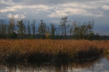 Jezioro Skomelno