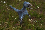 Krasiejw - Velociraptor