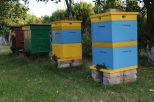 Krapkowice - ule pszczele