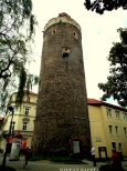 Wieża Bracka 1318 r. w Lubaniu