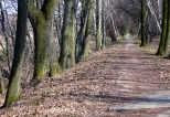 Wiosenny spacer w okolicach Goczałkowic Zdroju.