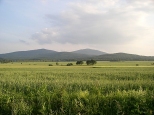 Panorama Gór Opawskich