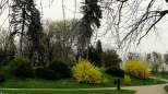 wiosna w parku...