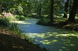Moszna - kanał wodny w parku
